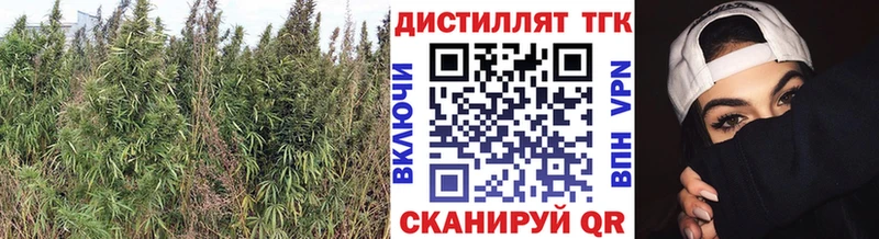 Дистиллят ТГК жижа  Красный Сулин 