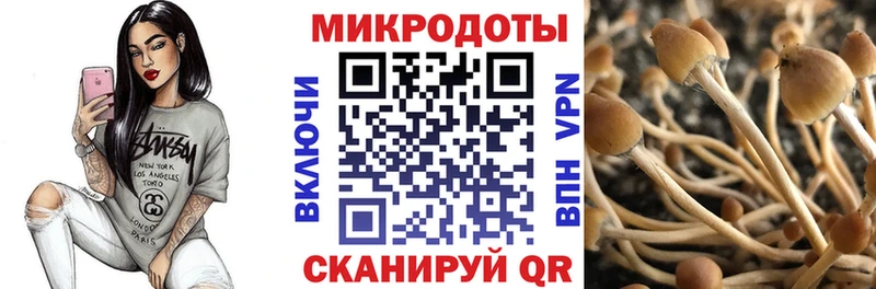 хочу наркоту  мориарти официальный сайт  Галлюциногенные грибы прущие грибы  Красный Сулин 